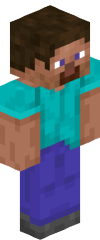 Personnages Minecraft Steve et Alex